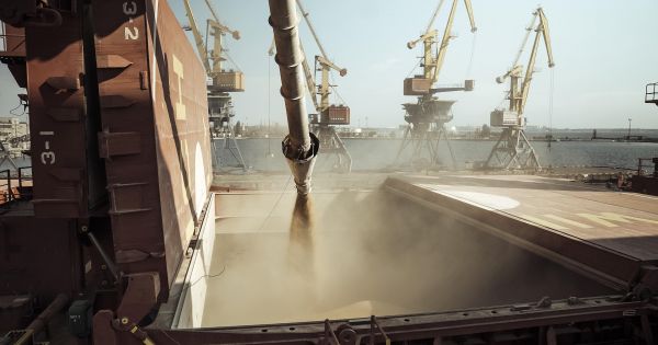 Фото до матеріалу: Росія звинуватила Ізраїль у тиску України щодо краденого зерна