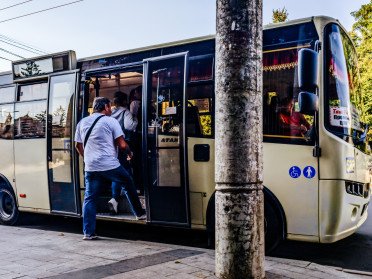 Фото до матеріалу: У Луцьку створили Ліс Героїв: 130 дубів пам'яті загиблих захисників