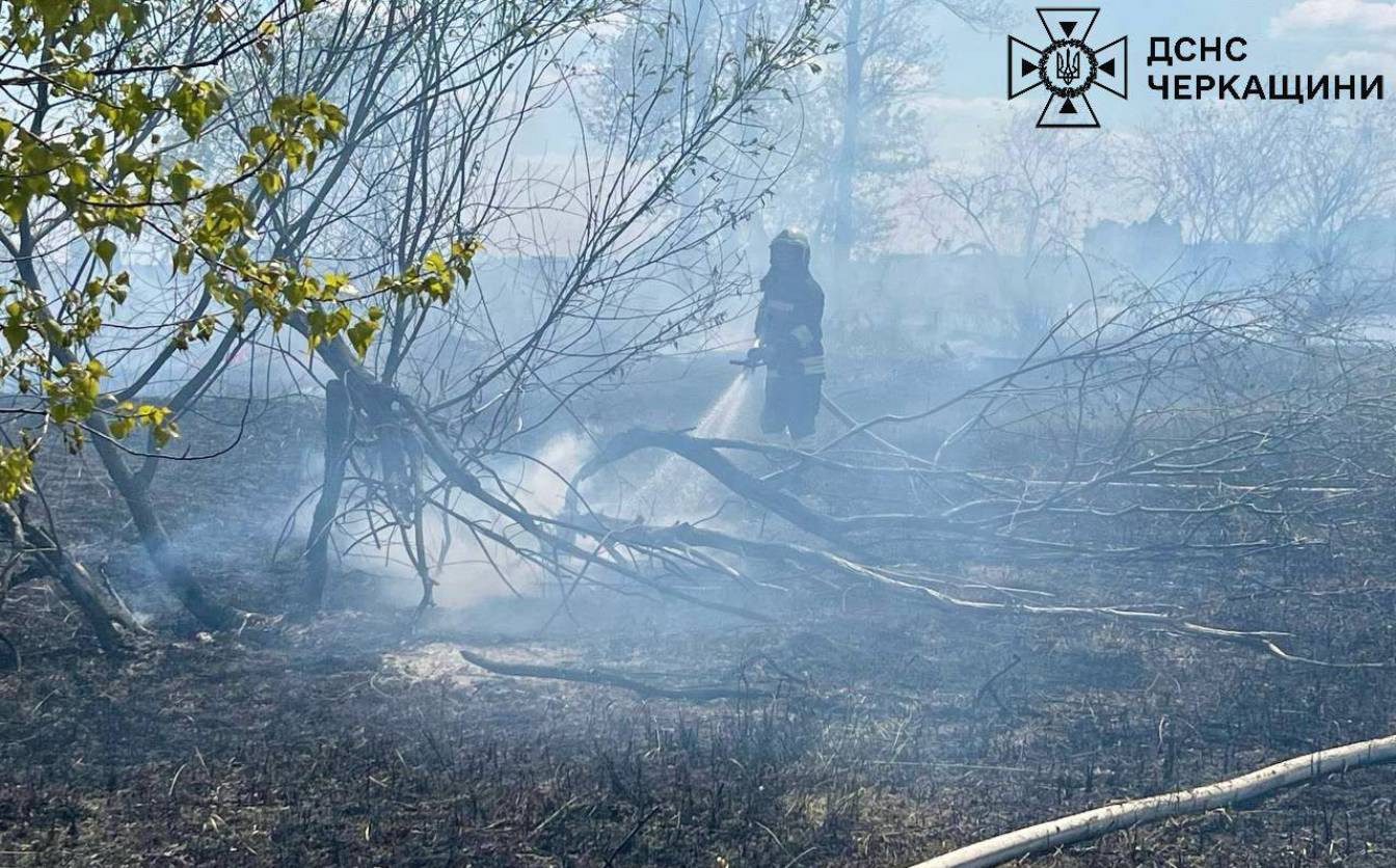 Фото до матеріалу: На острові Дніпра в Черкасах ліквідували пожежу: рятувальники загасили займання очерету