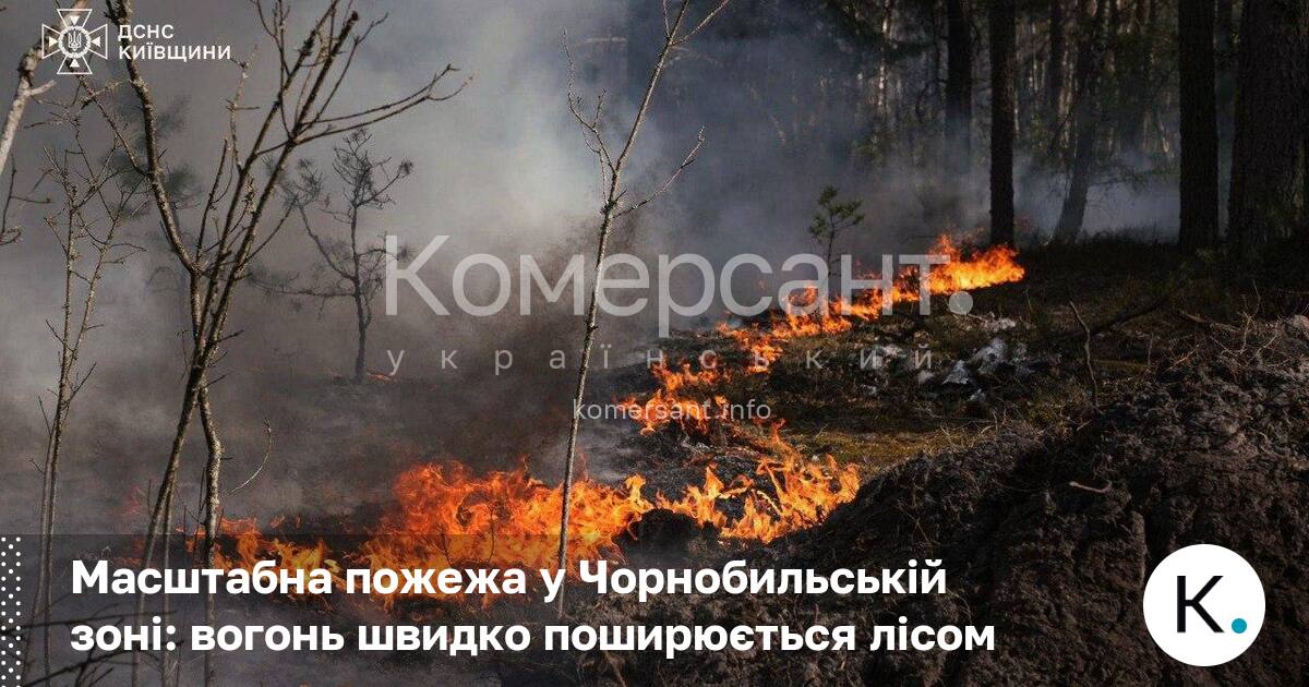 Фото до матеріалу: У Чорнобильській зоні відчуження горить понад 1100 гектарів лісу