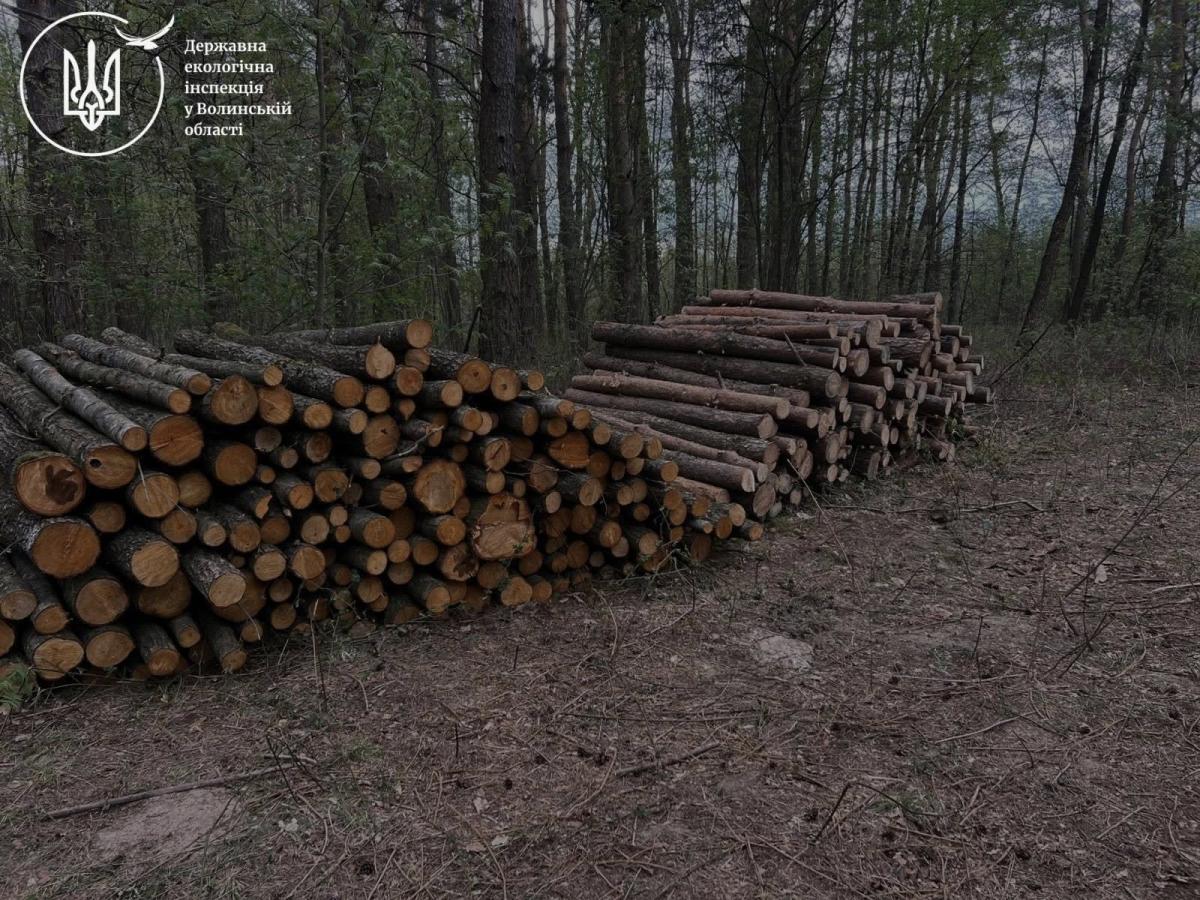 Фото до матеріалу: Дайджест новин Волині: пожежа на Володимирщині, нагороди воїнам та конфлікт із ТЦК