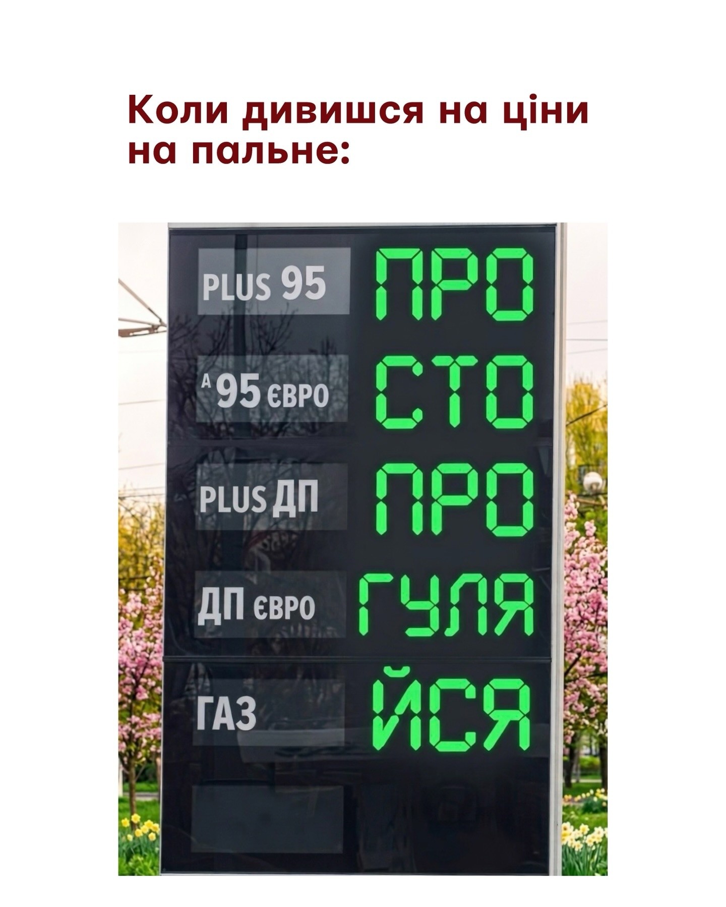 Фото до матеріалу: Підбірка блогожаб та фотоприколів від UAINFO за 11 квітня
