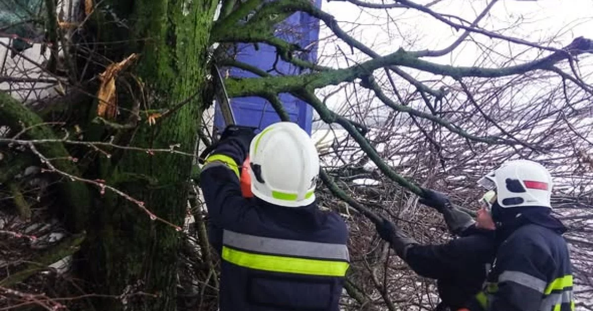 Фото до матеріалу: Рятувальники деблокували вантажівку в Бершаді: кабіна застрягла між гілками дерева