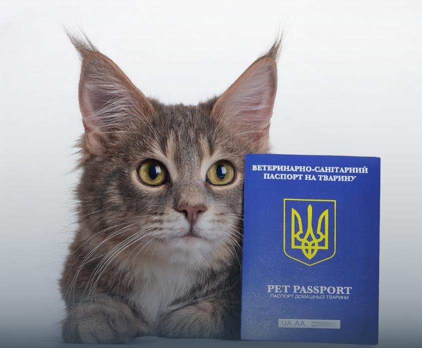 Фото до матеріалу: Українцям нагадали нові правила подорожей з домашніми тваринами до країн ЄС