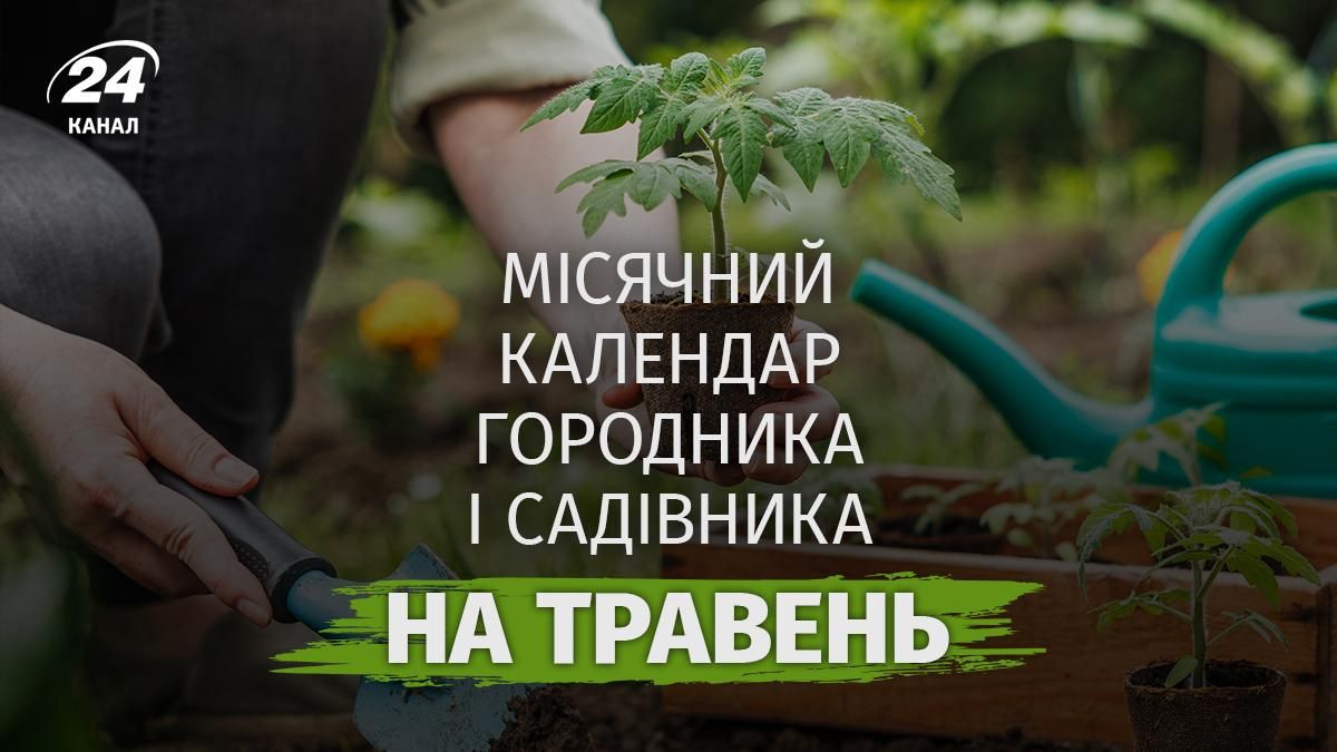 Фото до матеріалу: Календар городника на травень 2026: сприятливі дні для посіву та несприятливі періоди