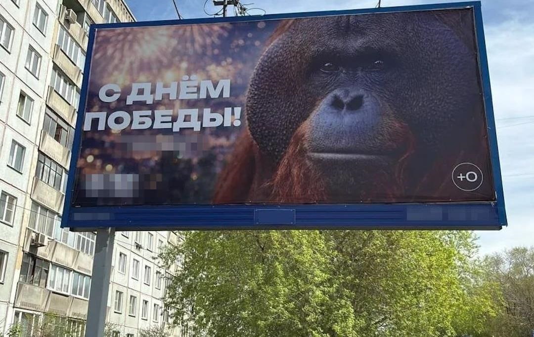 Фото до матеріалу: Курйоз у Новосибірську: до Дня перемоги вивісили банер з орангутаном