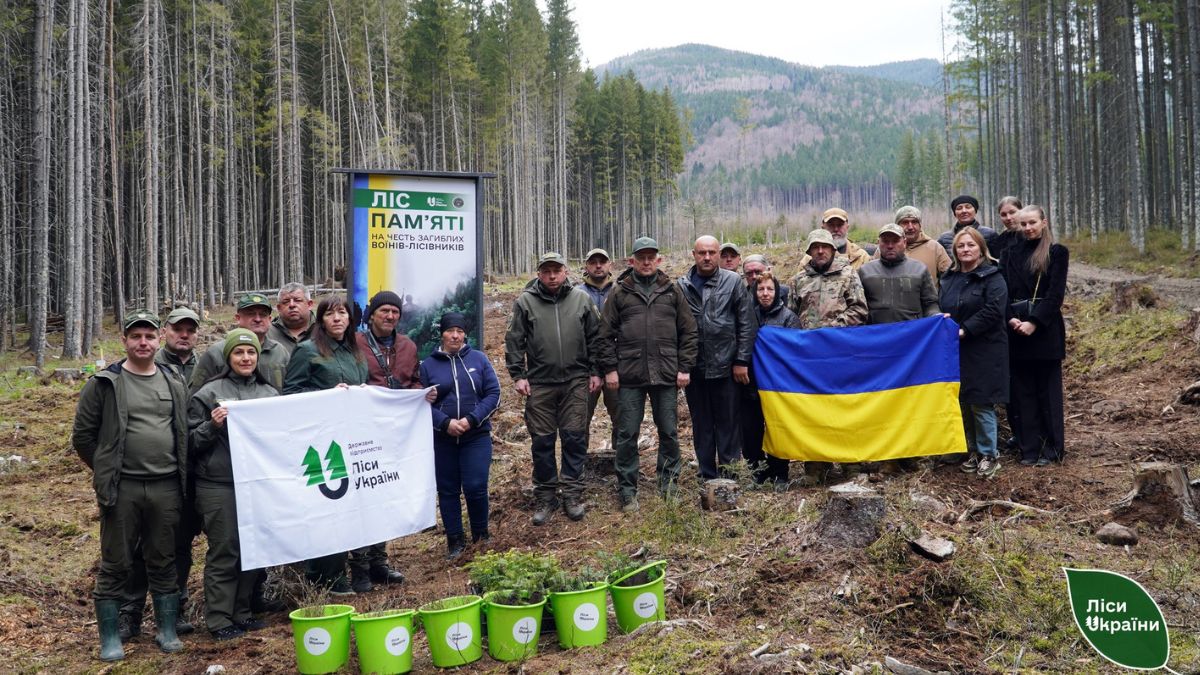 Фото до матеріалу: В Осмолодському надлісництві заклали лісову ділянку в пам'ять полеглим лісівникам