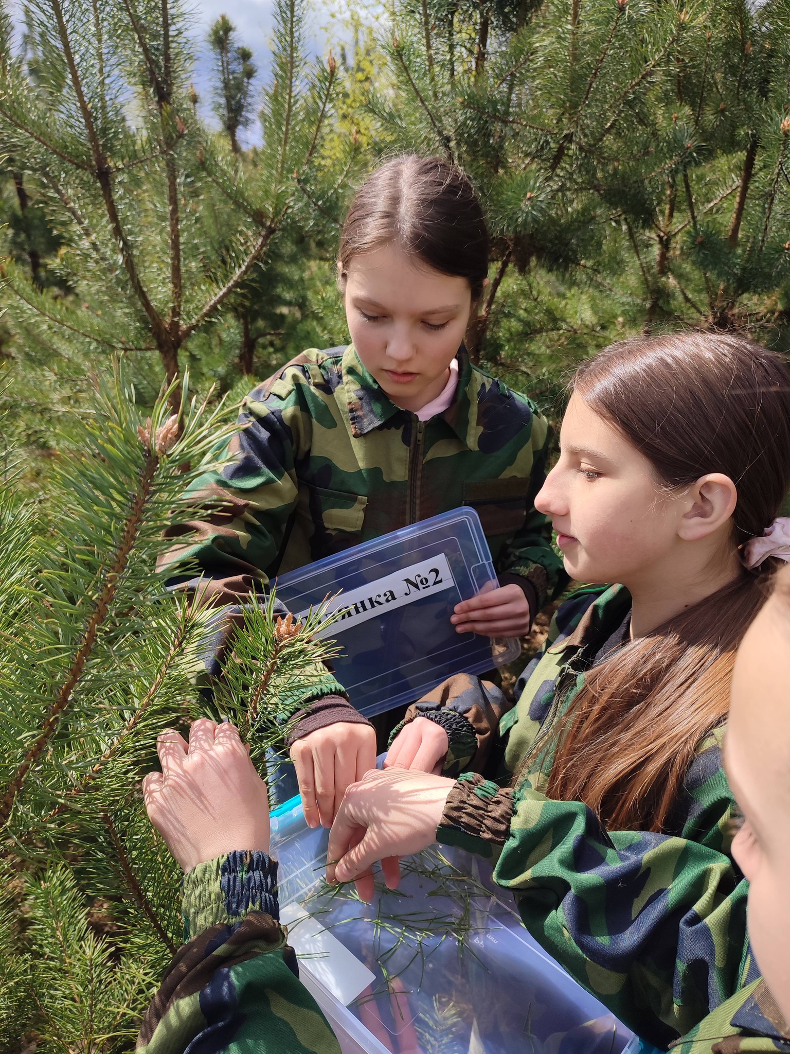 Фото до матеріалу: В'язівне: вихованці шкільного лісництва досліджують природу рідного краю