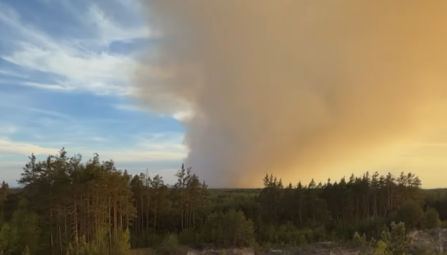 Фото до матеріалу: Польща: під час гасіння лісової пожежі розбився літак, пілот загинув
