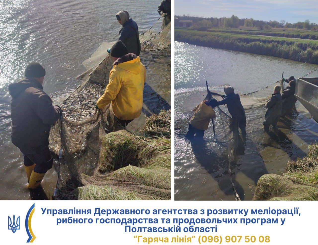 Фото до матеріалу: У річку Сухий Кагамлик випустили понад 900 кілограм молодняка риби