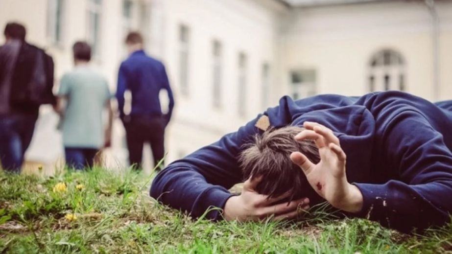 Фото до матеріалу: У Криничках підлітки жорстоко напали на братів: громада вимагає покарання