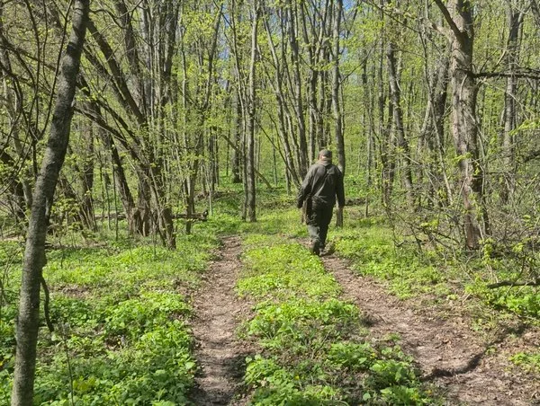 Фото до матеріалу: Як 120 хвилин у лісі «Холодний Яр» допоможуть відновити нервову систему