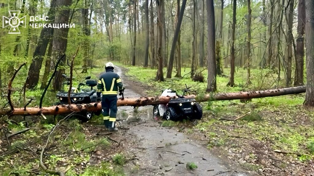 Фото до матеріалу: Трагедія у Черкасах: дерево впало на квадроцикл — загинула жінка