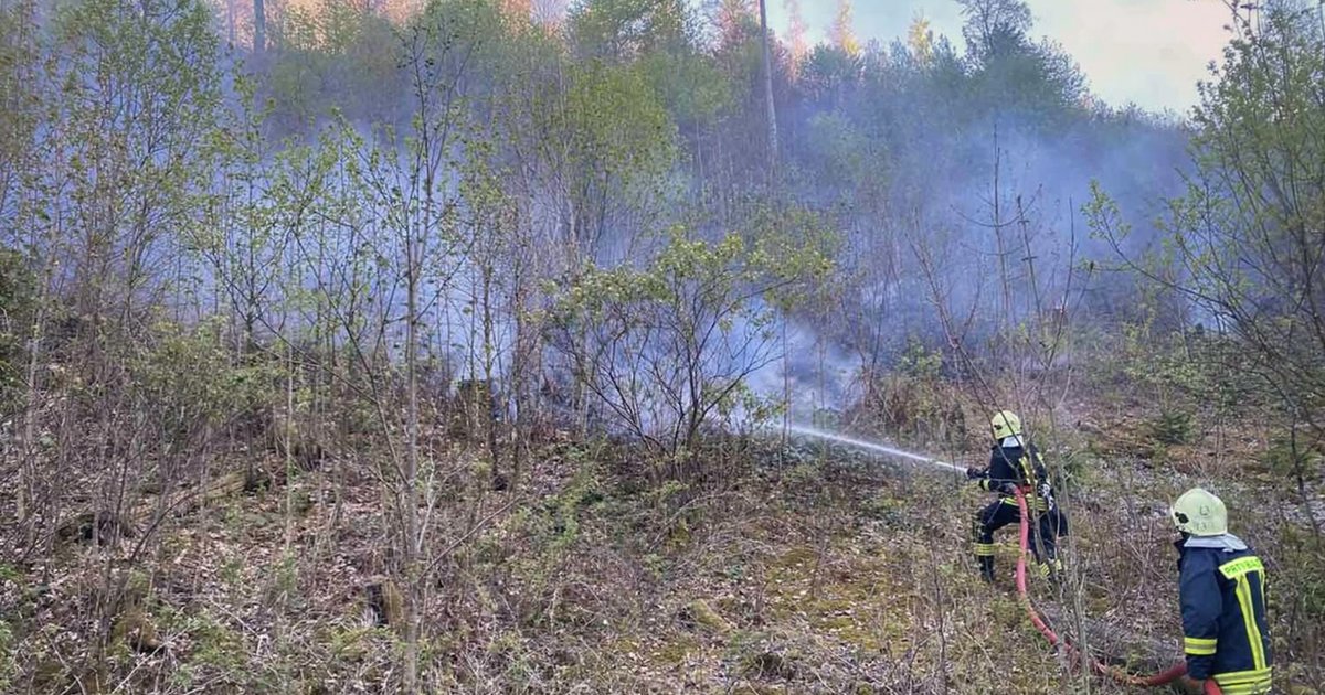 Фото до матеріалу: На Мукачівщині пожежа охопила вже 75 гектарів лісу (ФОТО)
