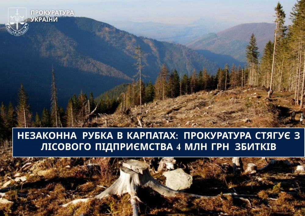 Фото до матеріалу: Косівська прокуратура подала позови проти ДП «Ліси України» на 4 млн грн