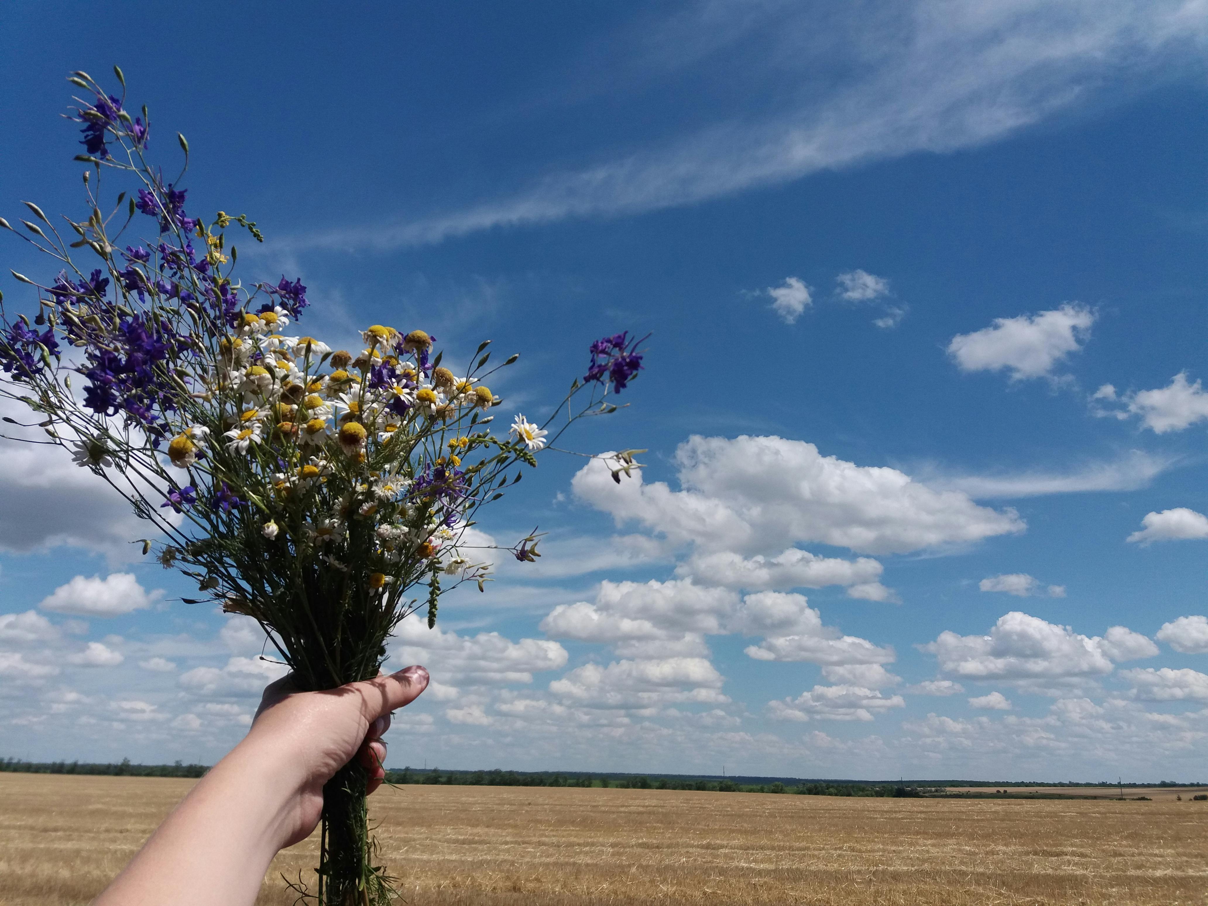 Фото до матеріалу: Погода в Україні 6 травня: тепла погода без опадів