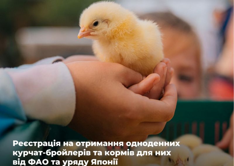 Фото до матеріалу: Жителі Великоолександрівської громади отримали курчат від ФАО