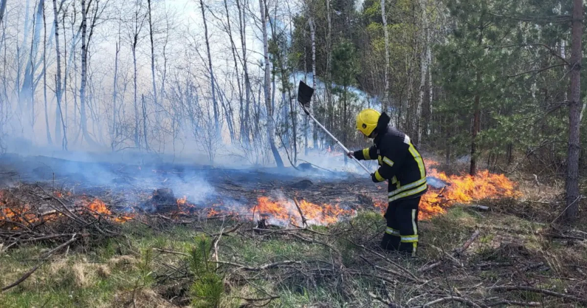 Фото до матеріалу: Лісову пожежу повністю ліквідували в Заболотті