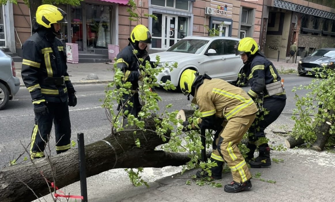 Фото до матеріалу: Вітер зруйнував дороги: рятувальники прибирають повалені дерева в Івано-Франківську та навколишніх селах