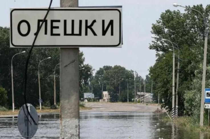 Фото до матеріалу: На Чернігівщині горять 2400 га лісу, гасіння блокується обстрілами
