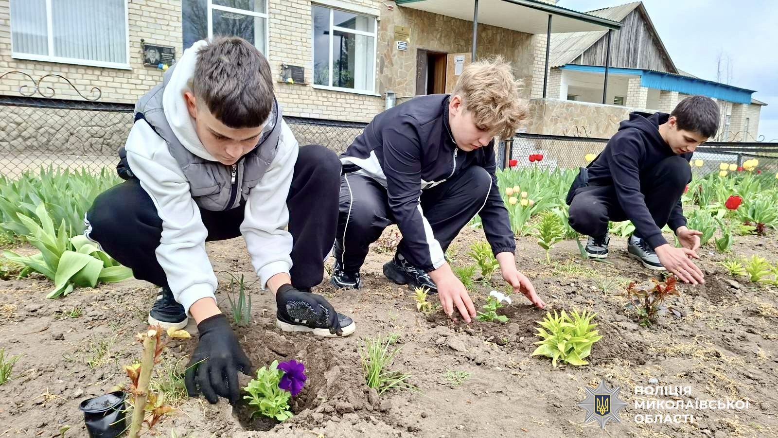Фото до матеріалу: Поліцейська та учні Кривоозерського ліцею разом висадили квіти на Первомайщині