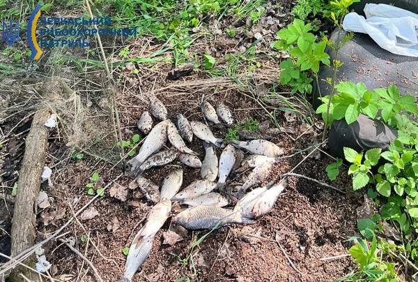 Фото до матеріалу: Браконьєр з «пауком» затримався на річці Гірський Тікич