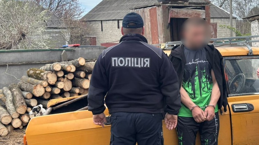 Фото до матеріалу: На Новоукраїнщині затримали чоловіка за незаконну порубку 77 дерев на півмільйон гривень