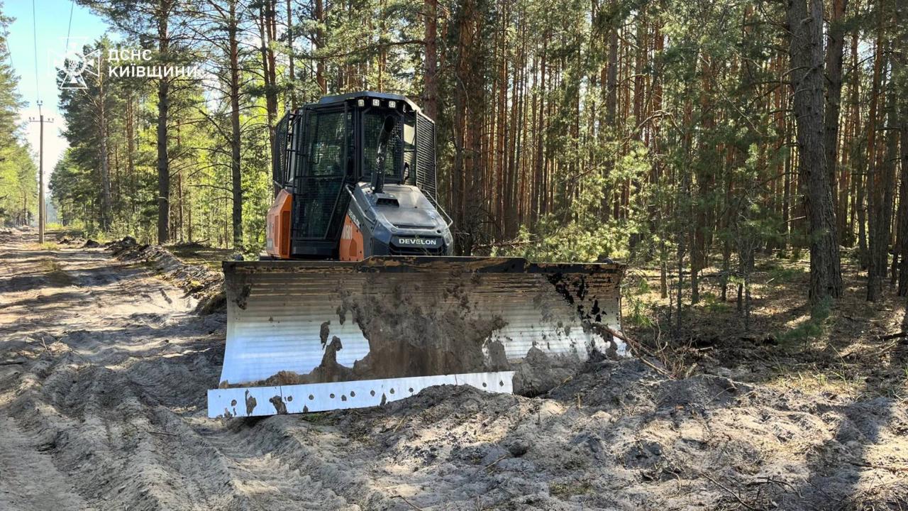Фото до матеріалу: Ще одне лосеня врятували від пожежі у Чорнобильському заповіднику