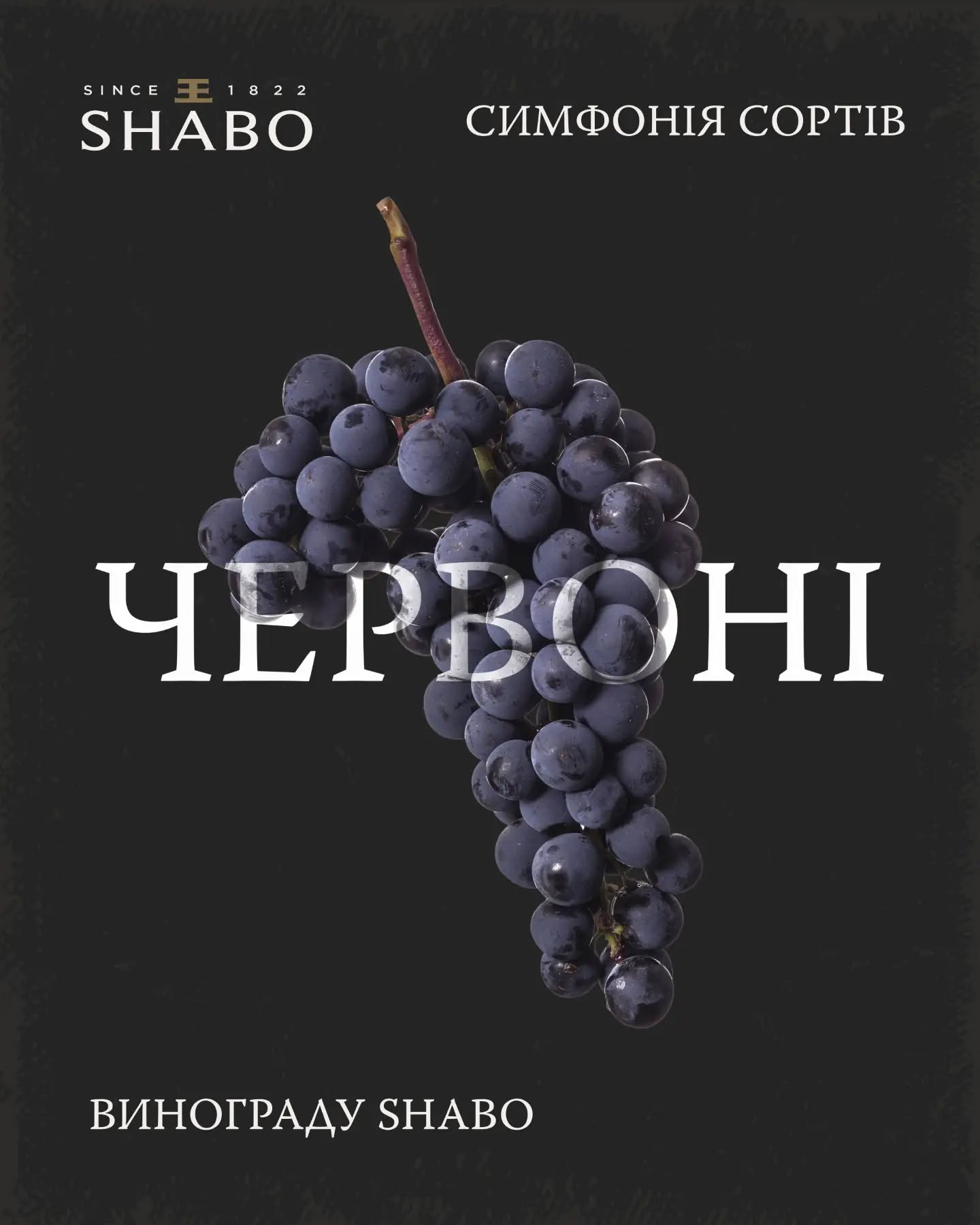 Фото до матеріалу: SHABO розкриває «симфонію» смаків: новий погляд на українське вино