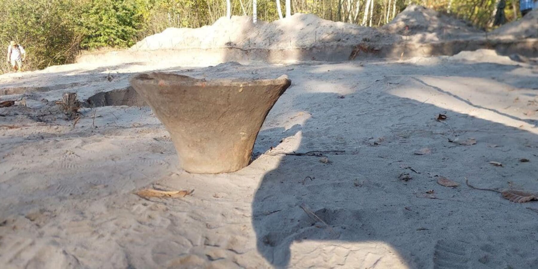 Фото до матеріалу: Метеоролог Вазіра Мартазінова спрогнозувала час першого снігу в Україні