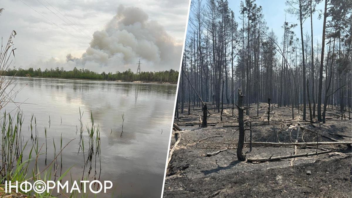 Фото до матеріалу: Масштабна пожежа у Чорнобильській зоні: вогонь охопив понад 1200 гектарів