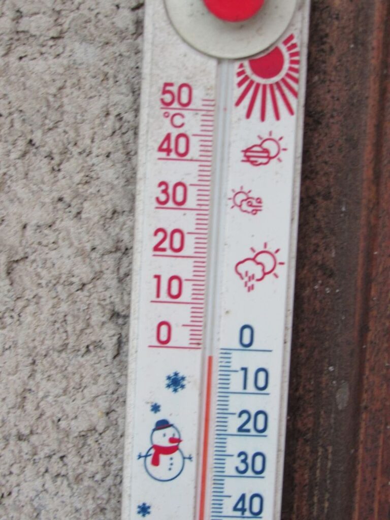 Фото до матеріалу: Різкі заморозки в Шполі: температура впала до -6°C, постраждала розсада