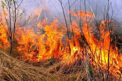 Фото до матеріалу: На Прикарпатті оголосили високий рівень пожежної небезпеки: що робити мешканцям