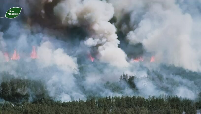Фото до матеріалу: П'ятикілометрова смуга лісу на Чернігівщині горить після обстрілів
