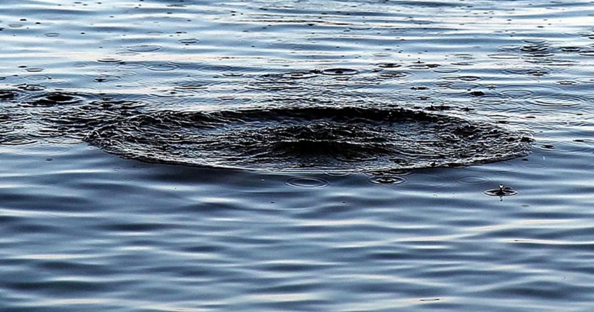Фото до матеріалу: У Золочівському районі на воді виявили тіло чоловіка