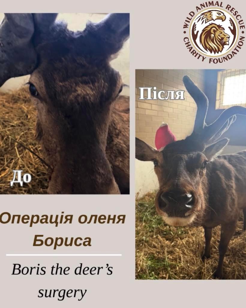 Фото до матеріалу: Троєщину звільняють від незаконних рекламних вивісок