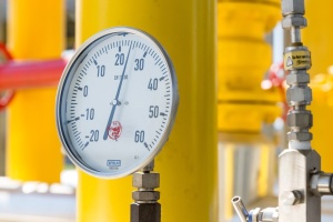 Фото до матеріалу: Тепличні огірки в Україні здешевшали на 20% за тиждень