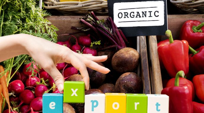 Фото до матеріалу: Україна знову на піку: експорт органічної продукції у першому кварталі 2026 року перевищив 40 тисяч тонн