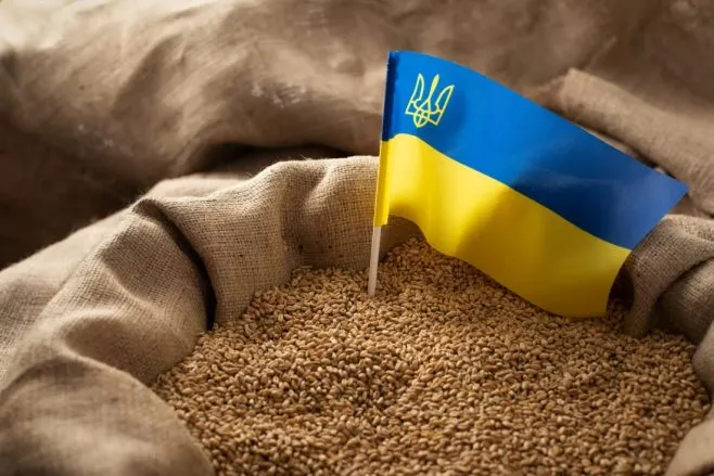 Фото до матеріалу: Bayer і МОМ ООН передадуть понад 225 тонн насіння для України та країн Африки