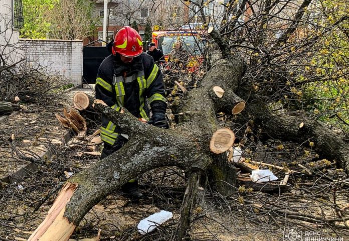 Фото до матеріалу: Буревій на Вінниччині: чоловік травмувався, а у Вінниці впав павільйон на зупинці