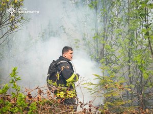 Фото до матеріалу: Лісова пожежа на Мукачівщині локалізували: понад 200 рятувальників ліквідують вогонь