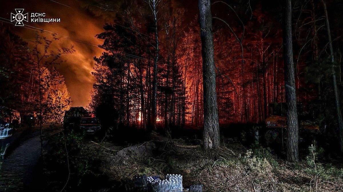 Фото до матеріалу: Після пожежі в Чорнобильській зоні зафіксували підвищення цезію: чи є загроза для людей