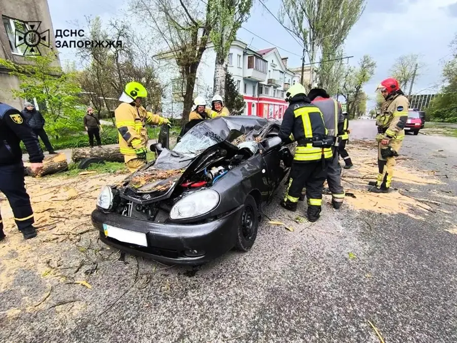 Фото до матеріалу: Буревій на Хмельниччині: пошкоджені дахи, повалені дерева та сніг у квітні