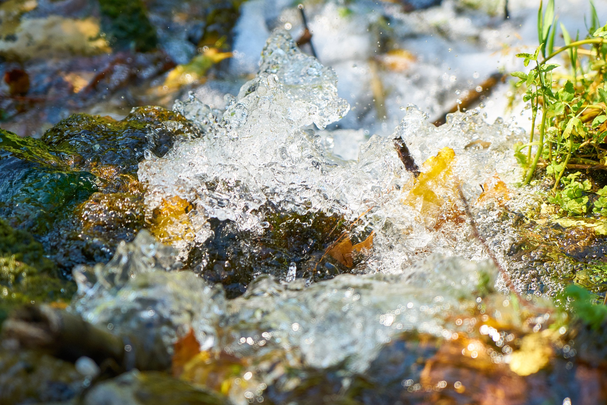 Фото до матеріалу: Вода у криницях Вінниччини стала небезпечною: перевищення нітратів у 12 разів