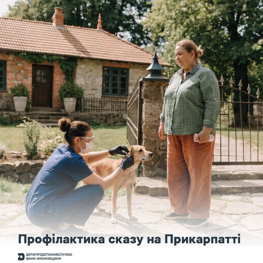 Фото до матеріалу: На Прикарпатті вакциновано понад тисячу тварин від сказу за тиждень