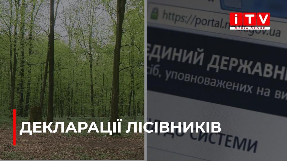 Фото до матеріалу: Скільки заробляють керівники лісових господарств Рівненщини: аналіз декларацій