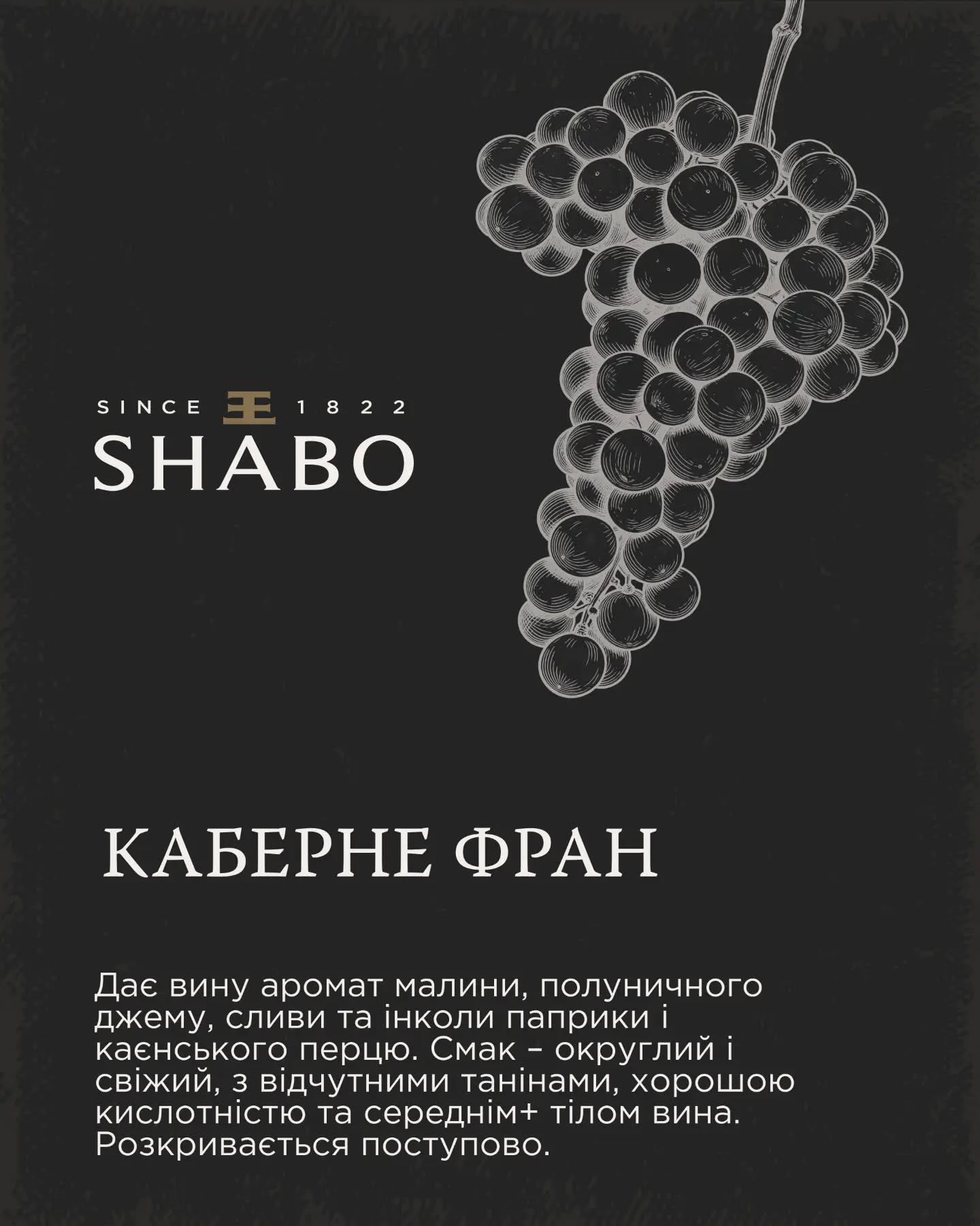 Фото до матеріалу: SHABO розкриває «симфонію» смаків: новий погляд на українське вино