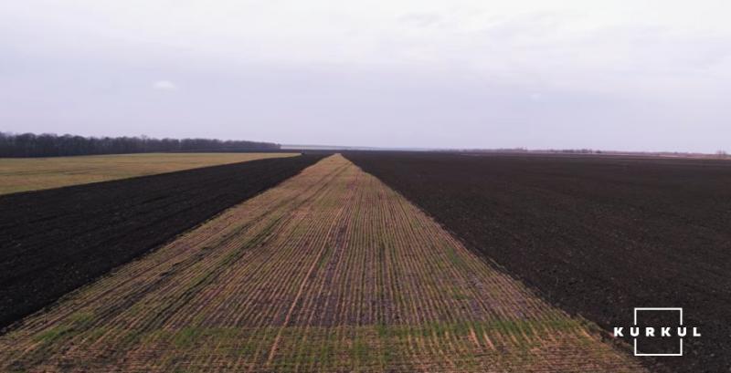 Фото до матеріалу: Як пестициди мігрують на сусідні поля: експерт розкриває механізм зносу кломазону