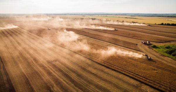 Фото до матеріалу: Мінекономіки назвало прогноз врожаю основних зернових в Україні. В USDA очікування по пшениці вищі