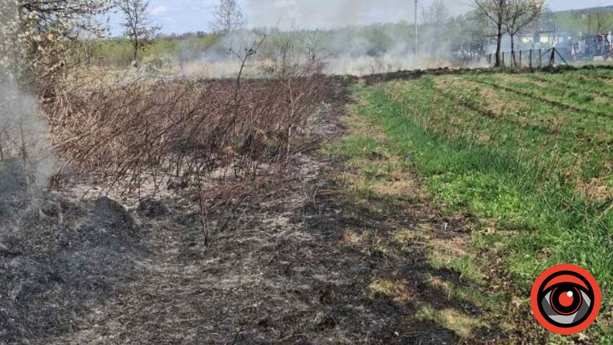 Фото до матеріалу: На Рожнятівщині вогонь знищив бджолосім'ї: пасічник підраховує збитки